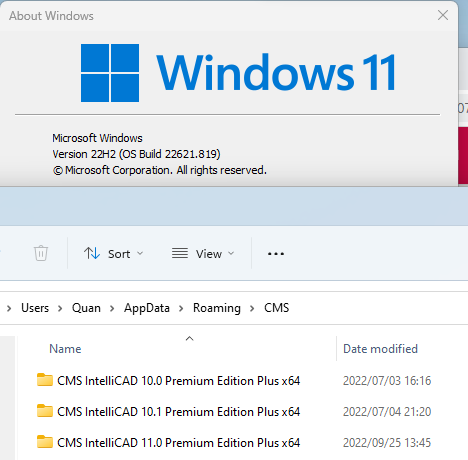 Win11_CMS.png